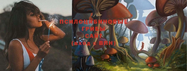крисы Сосновоборск