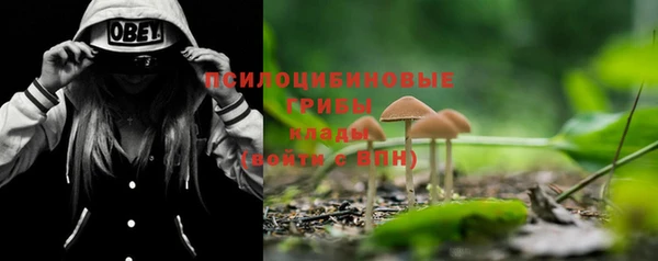 таблы Сосновый Бор