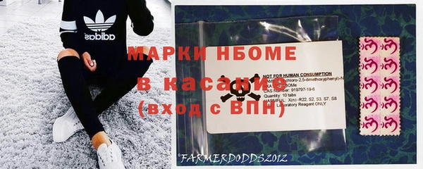 сатива Сосновка