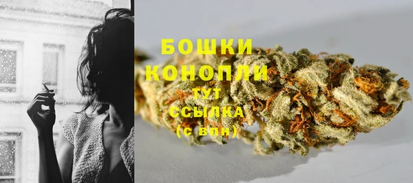 сатива Сосновка