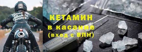 сатива Сосновка