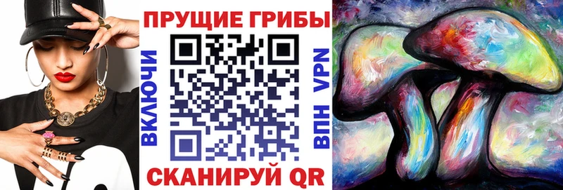 Псилоцибиновые грибы прущие грибы  Купить где  Курлово 