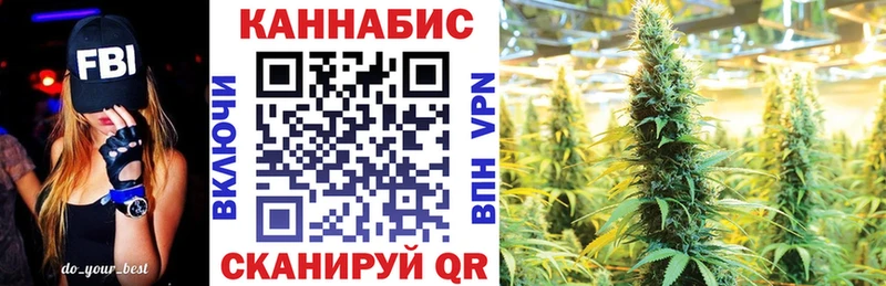 Купить  Курлово  Бошки Шишки ГИДРОПОН 