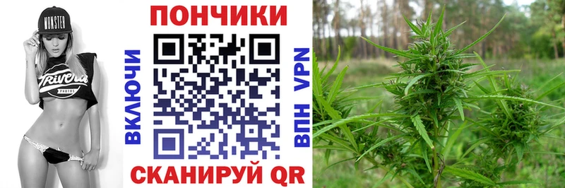 Конопля планчик Курлово